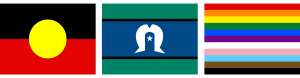 Acknowledgement Flags