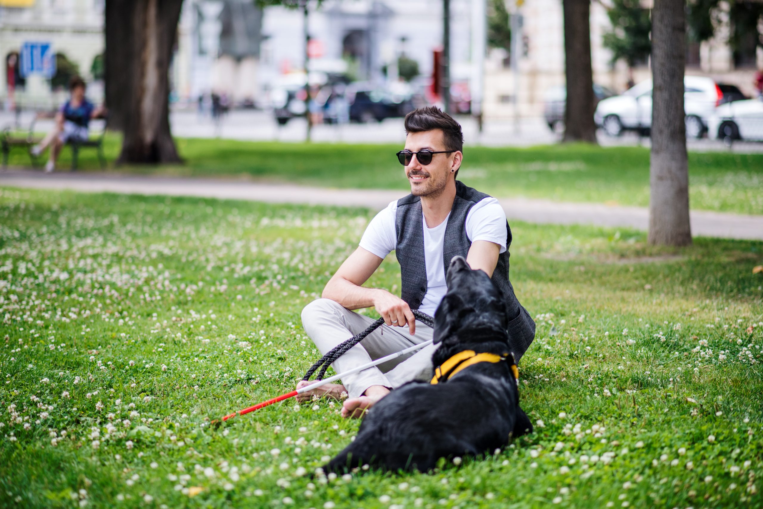 NDIS Plan Management - Young blind man with white cane and guide dog sitting in park in city.